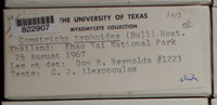Image Associated With the Occurence